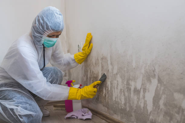 Best Crawl Space Mold Removal  in Las Quintas Fronterizas, TX