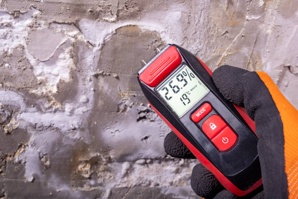 Best Local Mold Removal Service  in Las Quintas Fronterizas, TX