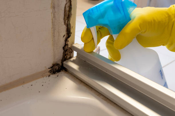 Best Emergency Mold Removal  in Las Quintas Fronterizas, TX
